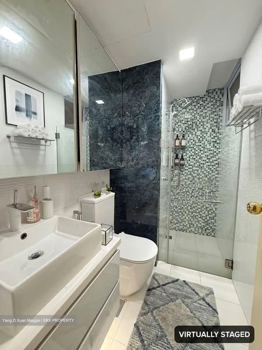 Sanctuary Green (D15), Condominium #546134551